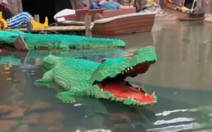 大鳄鱼来了