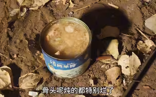 末日废土 美食之羊排罐头