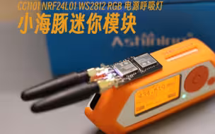 Flipperzero小海豚cc1101 nrf24 ws2812 整合拓展板展示