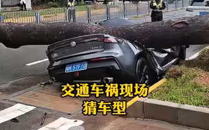 交通车祸现场猜车型，开车不遵守交规，车辆瞬间被撞报废