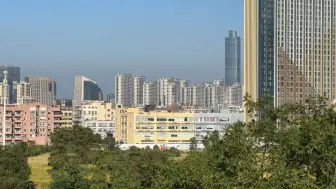 明明都已经是冬天了，温州的植物还是绿色的，根本感受不到冬天的气氛