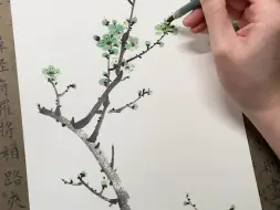 一枝春