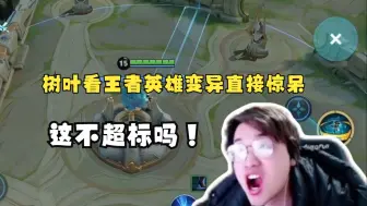 树叶看王者荣耀版本前瞻英雄变异直接惊呆“无法选中也能被选中？！”