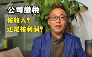 公司缴税是按收入？还是按利润？缴哪些税？