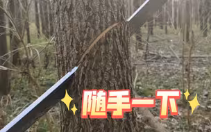 真的有那么牛？自己都当真了。。