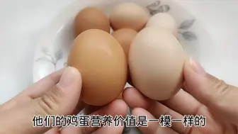 红皮鸡蛋真的比白皮鸡蛋更有营养？养殖户不小心说漏，别再买错了