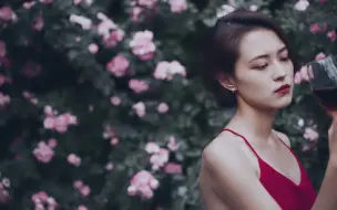 花开花落，人来人往，但我们依旧错过 情绪风蔷薇写真
