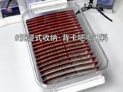 沉浸式收纳｜果然吧唧还是得配背卡6.0