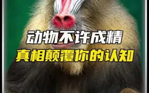 动物不许成精为什么呢？