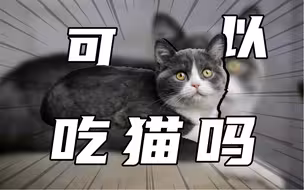请问一下各位大佬，猫怎么做好吃？
