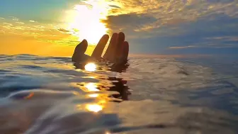 “在海的世界里，我永远自由”