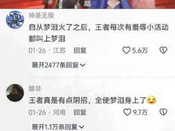王者有点阴招，全使梦泪身上了