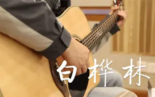 朴树《白桦林》吉他弹唱【附教学讲解】198