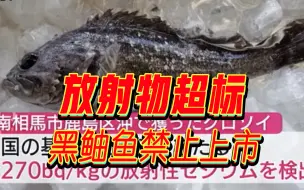 放射性物质超标！日本福岛县海域黑鲉被禁止上市