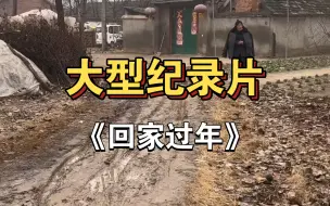 大型纪录片之《回家过年》，家中无浪子，财从何处来！