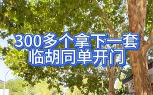 300多个拿下一套临胡同单开门的胡同平房