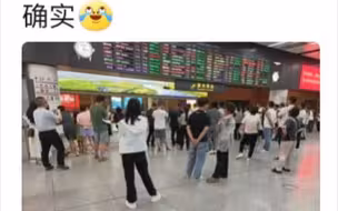 东北人统一待机姿势