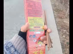 接俺奶俺爷俺爸回家过年了