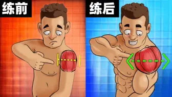 保姆级的肩部训练攻略：5个动作打造3D宽肩