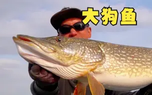 要我给个说法？那来呗 PK一下