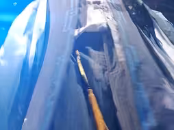 进来看卦者灵风顶胯