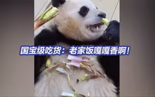 还是老家的饭香啊！福宝回家吃吃吃就像孙悟空进了蟠桃园
