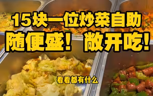 街头偶遇炒菜自助，十五块钱十五道菜随便吃！这样的自助值不值？