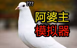 阿 婆 主 模 拟 器 ？【小潮院长】