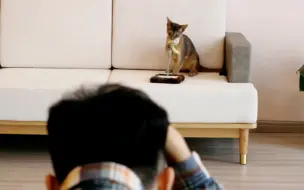 『短视频』猪皮特先生第一次拍广告表现也太自然了