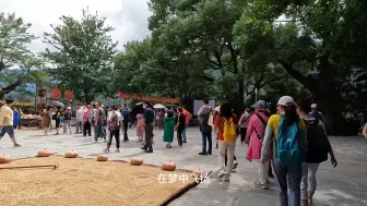 300元安徽5天4晚游5，购物团风云变幻，大妈要购买十多万翡翠