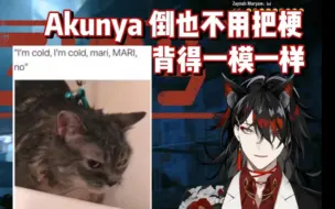 【Vox/熟】中之猫疑曝光 四百年都在背梗的Milord
