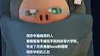 双非毕业大学牲的现状