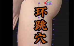 常用穴之胆经-环跳穴