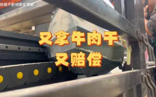 倒霉啊，雪上加霜