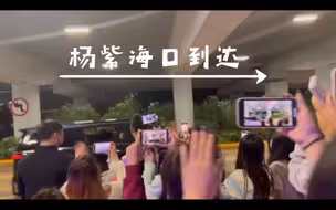 啊啊啊啊只有杨紫开窗了！