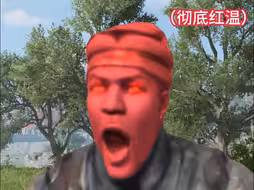 当开大保命的岳山看到队友胡桃时
