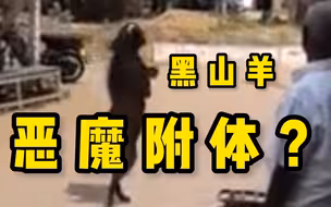 黑山羊撒旦附体，骗鸡来杀？山羊：基操勿六【御灵苑 辟邪显正特别篇】