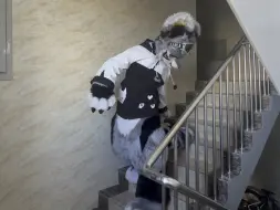 【兽装】这样出门应该没什么问题吧……