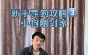 小狗刚到家时会一直叫，出现这样嘤嘤嘤，汪汪汪的叫声，这时候要是去安慰它，那它以后就会一直叫。