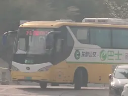 深圳公交PJ23往杨梅坑方向