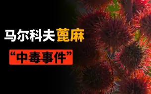 7mg即可致死，迄今没有解药，为什么蓖麻种植仍没被禁止？