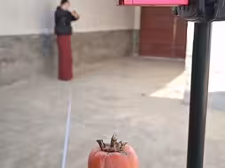 花大姐弹弓打头发丝，手痒的你赶快来试试