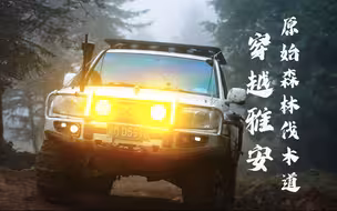 穿越原始森林伐木道（神木垒穿越）