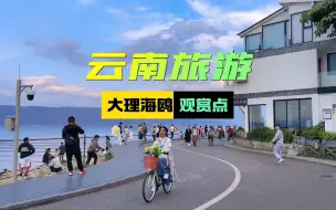 来大理，这些观赏海鸥的景点收藏好了