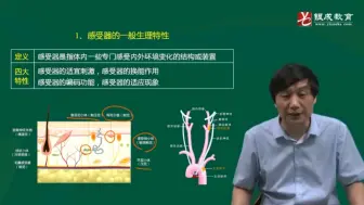 生理学-感受器