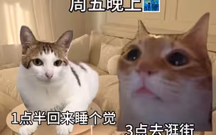 这是不是你和你对象🐷你们周末的约会计划是什么？想象中的周末早起、吃早餐、逛街、看电影⋯实际上的周末@男朋友，什么水平敢计划早起？