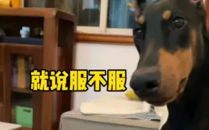 安妮终于有一个能打的了，老母亲很欣慰