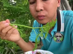 越南小哥午饭啃绿化带+沙丁鱼米饭