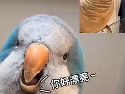 网恋第一次开视频有点紧张