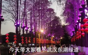 实拍武汉第一个世界级5A东湖绿道，全长100多公里，美景完全不输西湖！